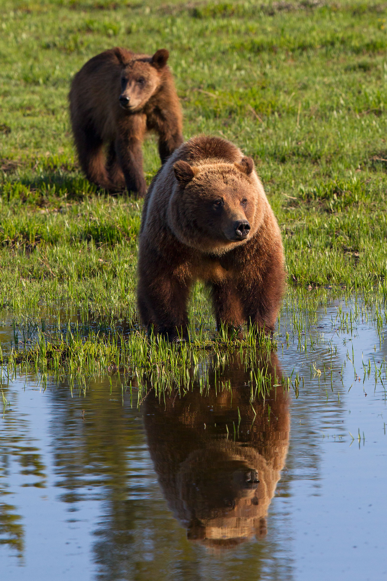 Mamma e uno dei due piccoli