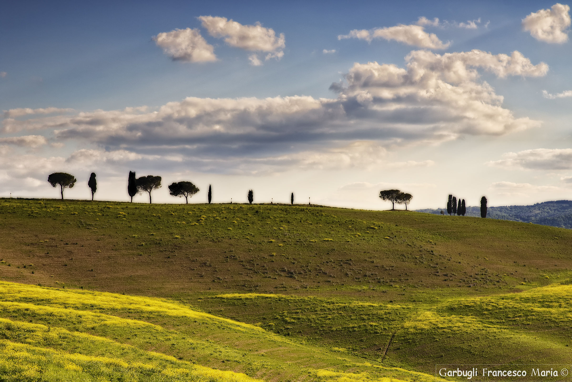 Hills of Torrenieri