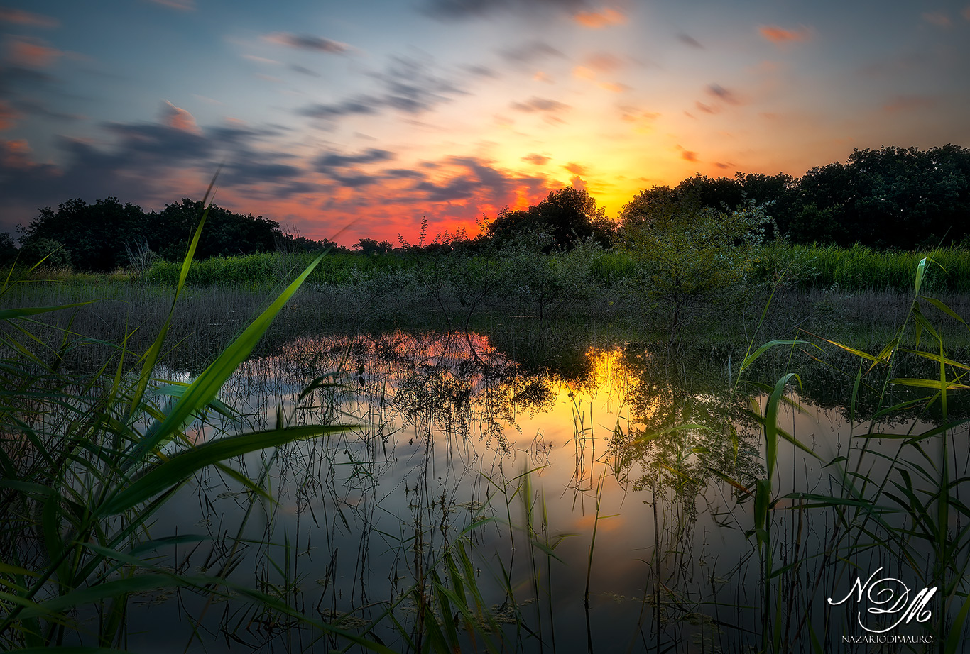 Parco Naturale Regionale Bosco Incoronata - Foggia