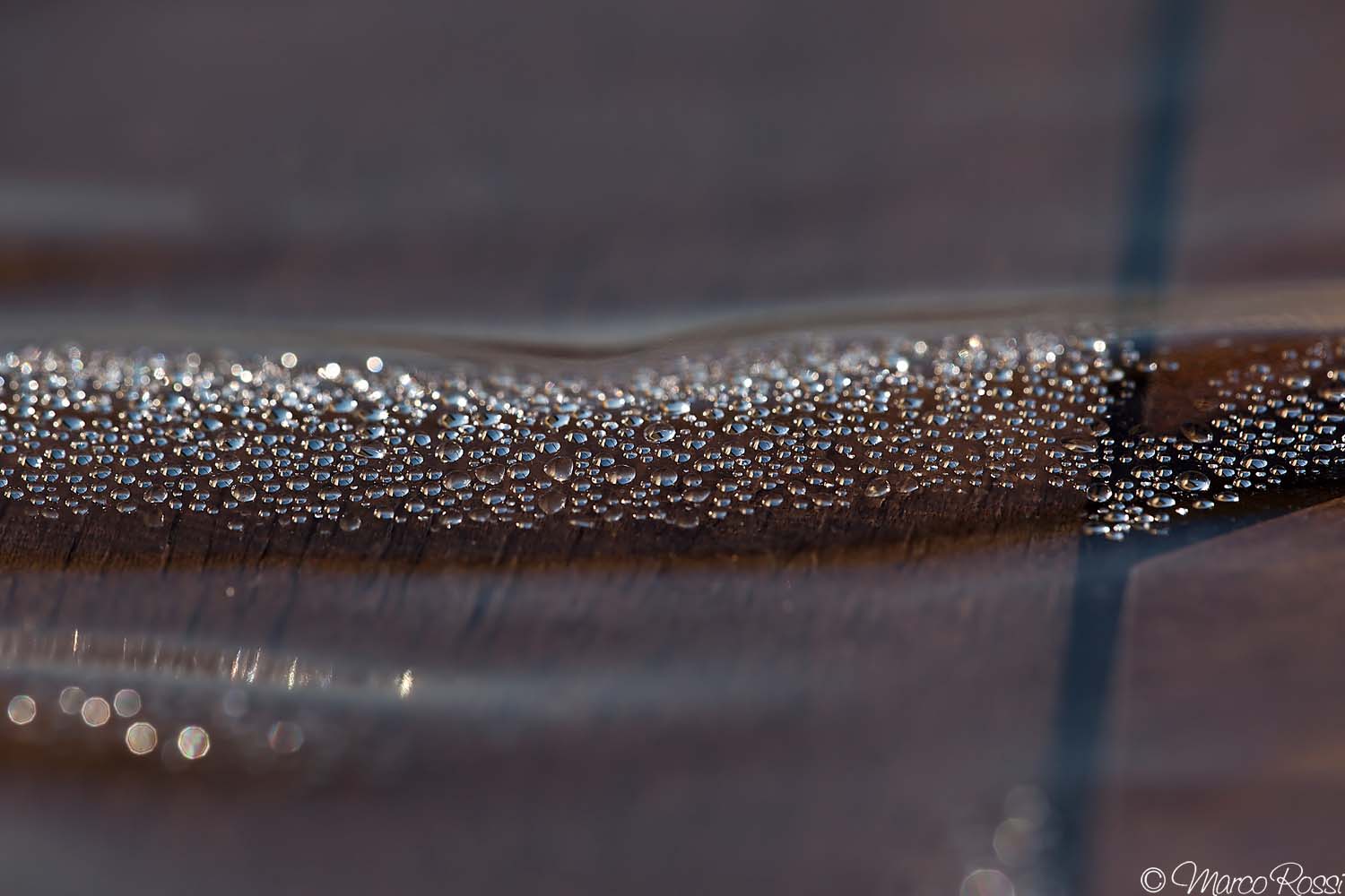 At dawn, after a night of autumn