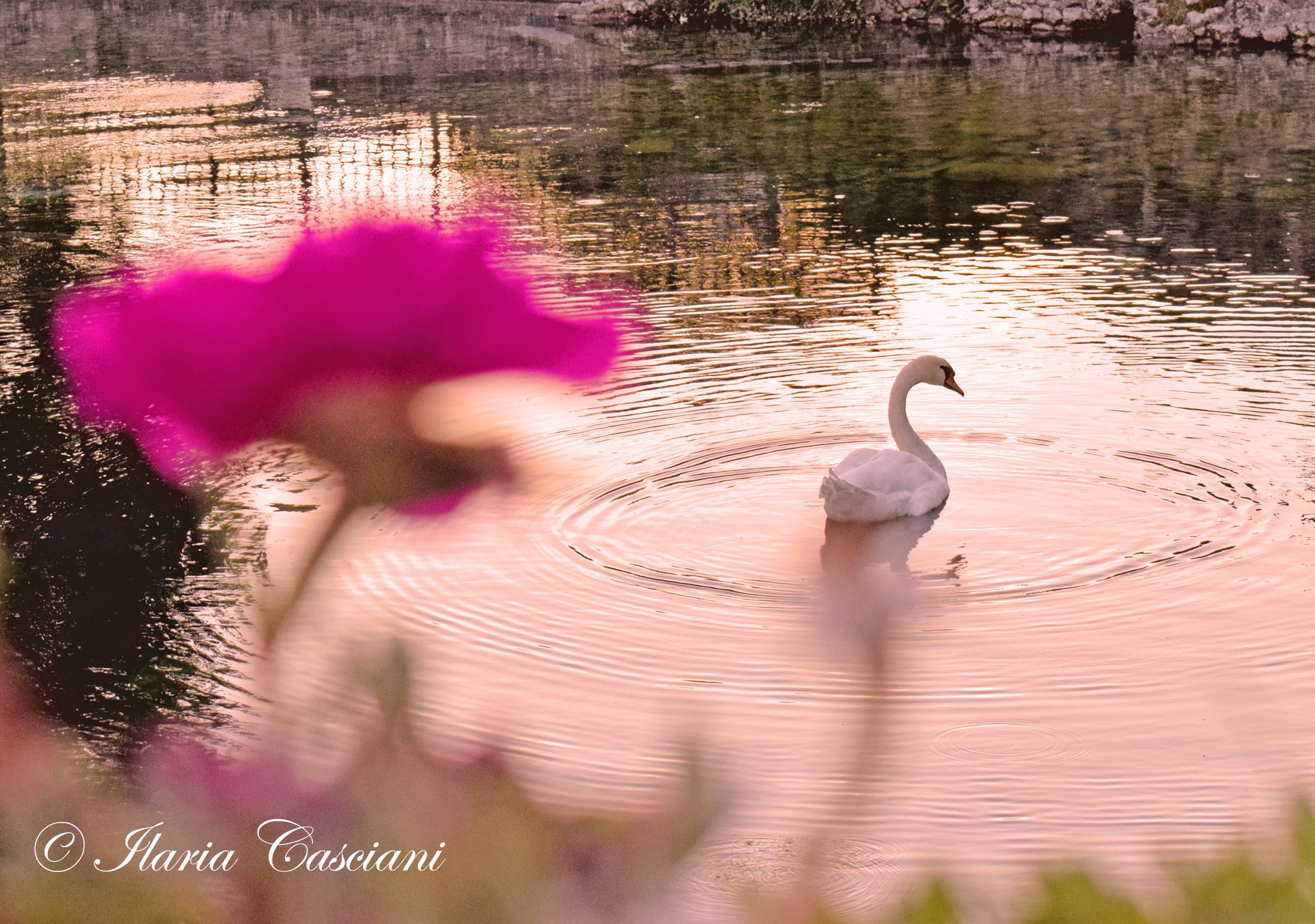 Romantic illusion, as in a dream.