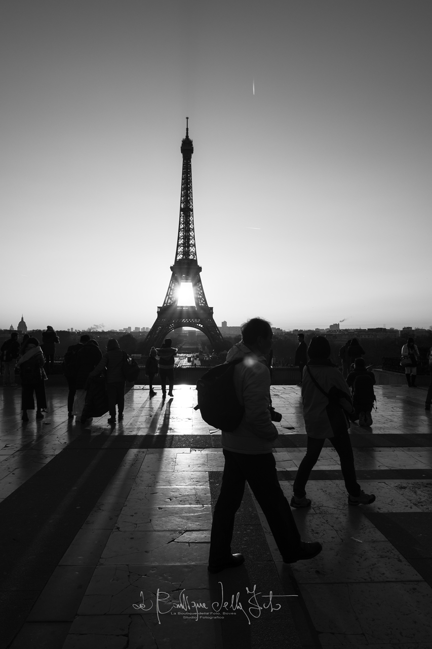 Paris about Paradis?