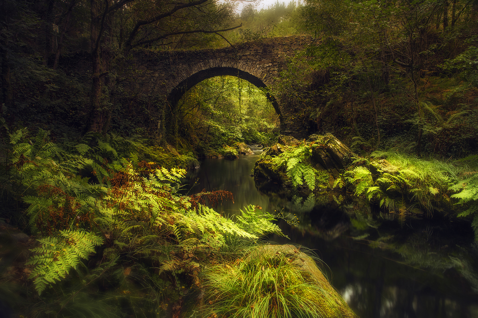 Puente Polea Villayón - Asturias