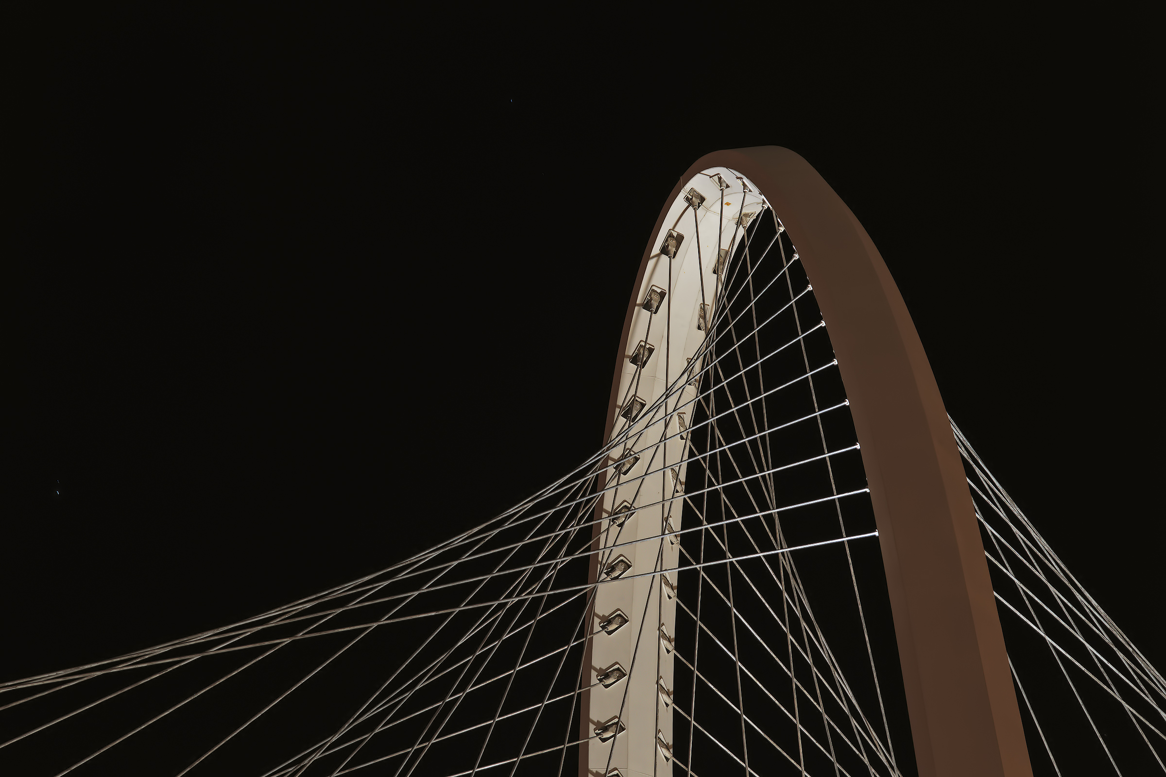 Calatrava Bridge