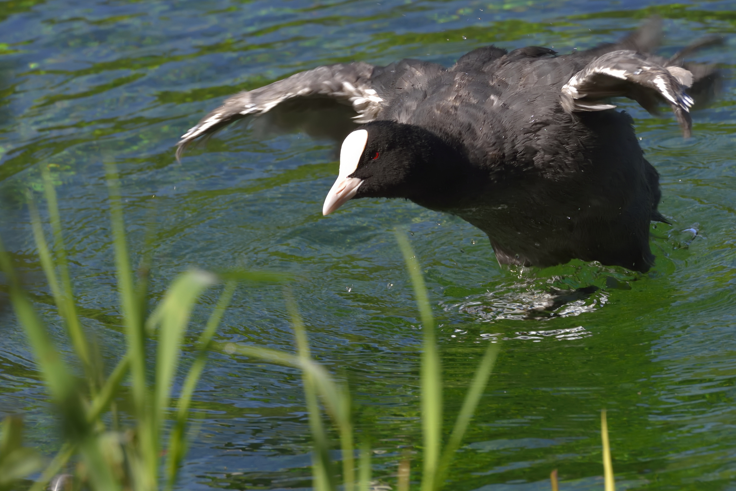 Sono un tantinello incazzato