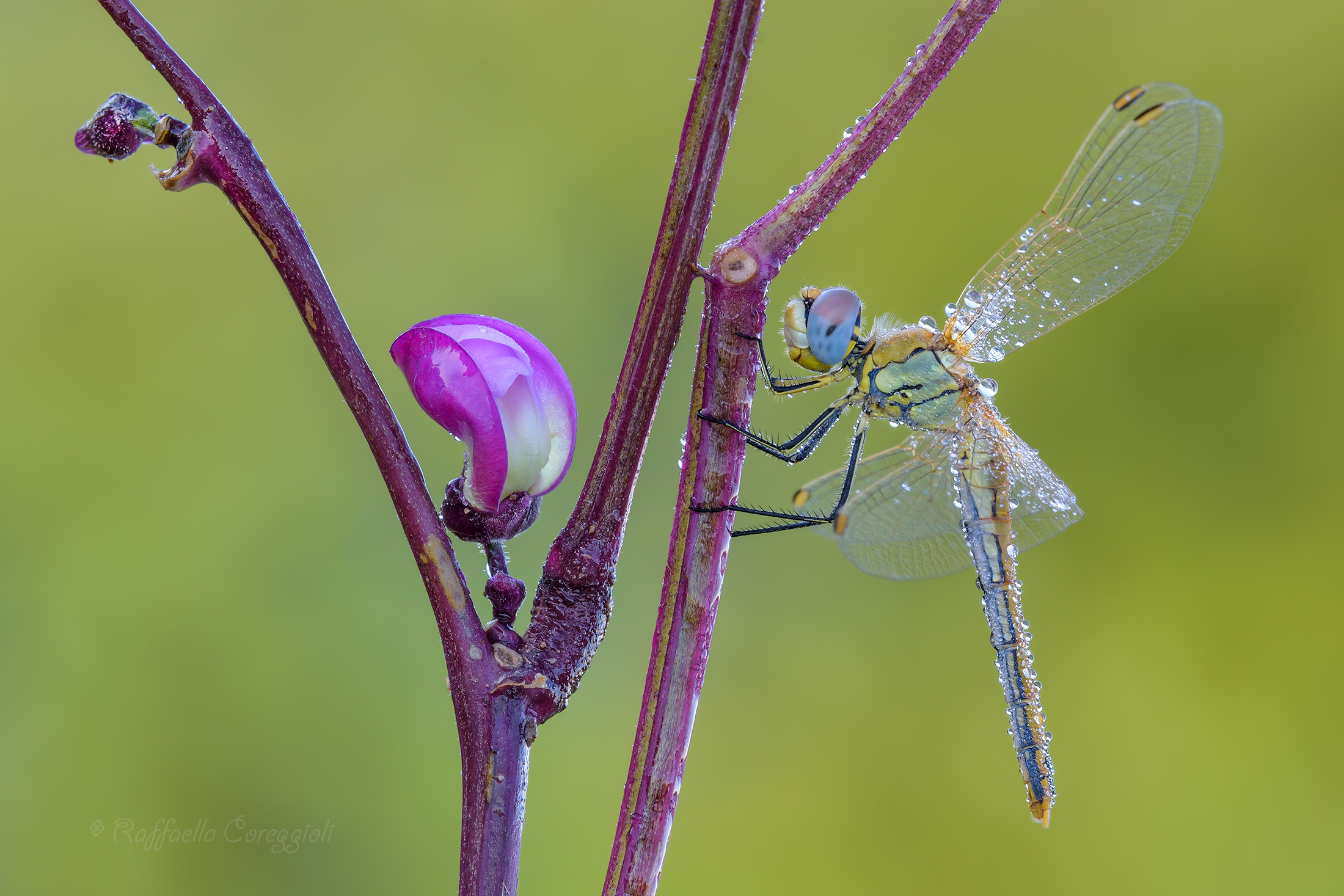 If you do not know where to look ....