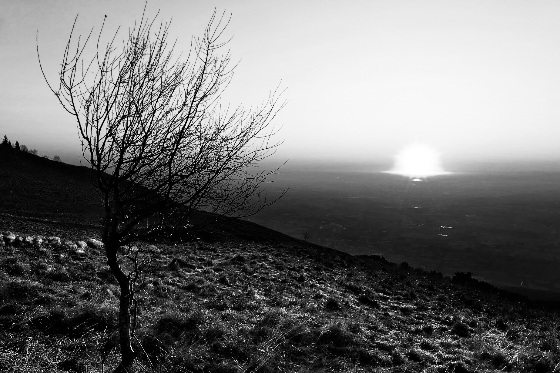 "Quel sole esploso in un istante"