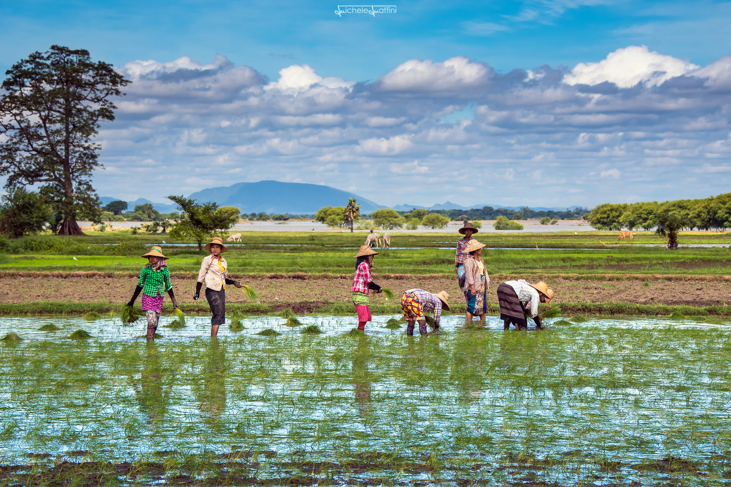 Myanmar - Yandabo, atmosfere surreali