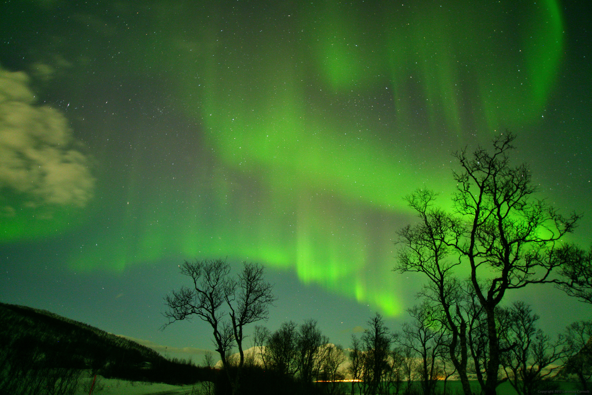 Behind the trees - OLD