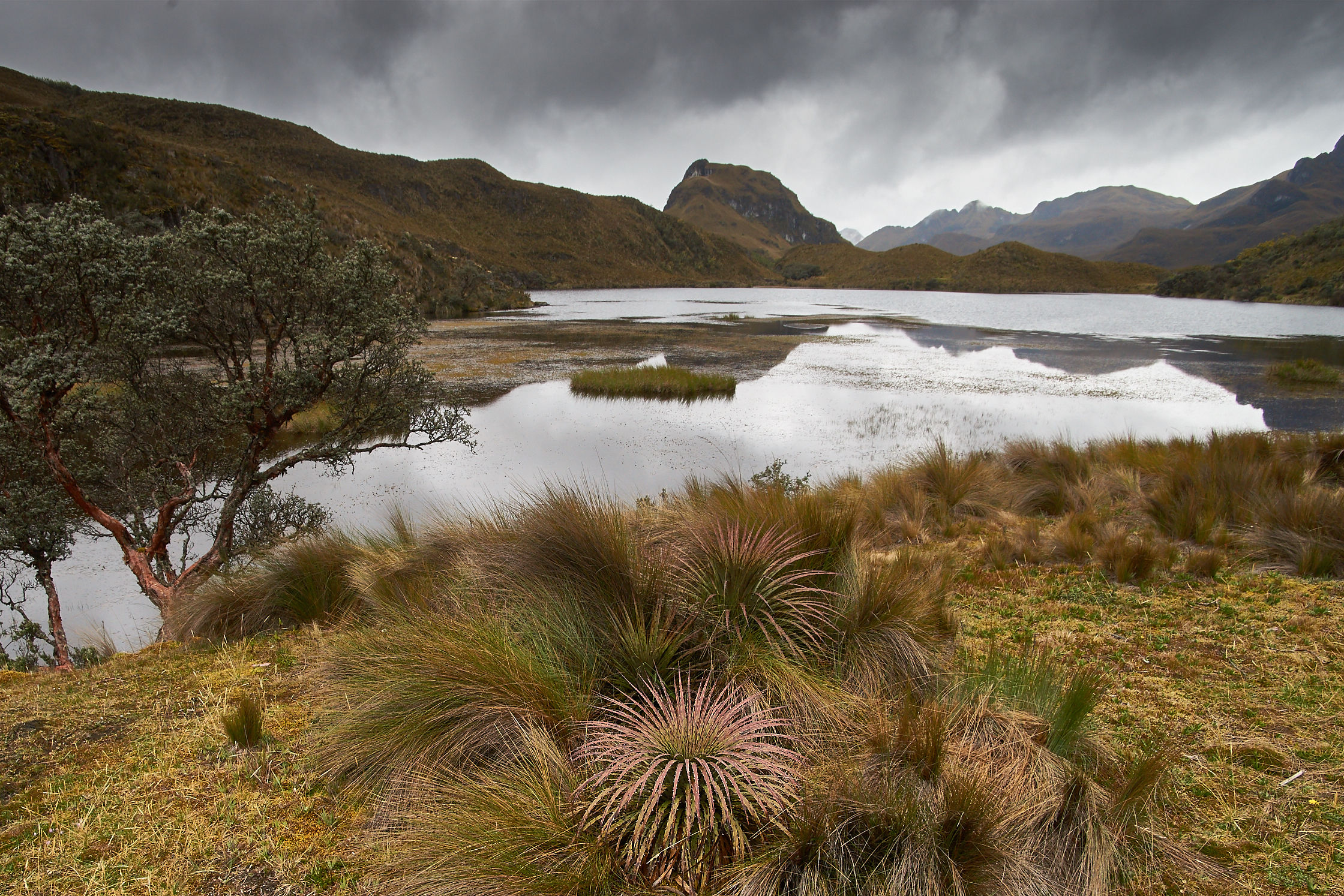 El Cajas National Park
