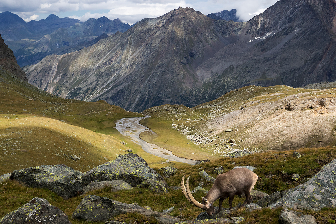 Contrasts in the Gran Paradiso Park