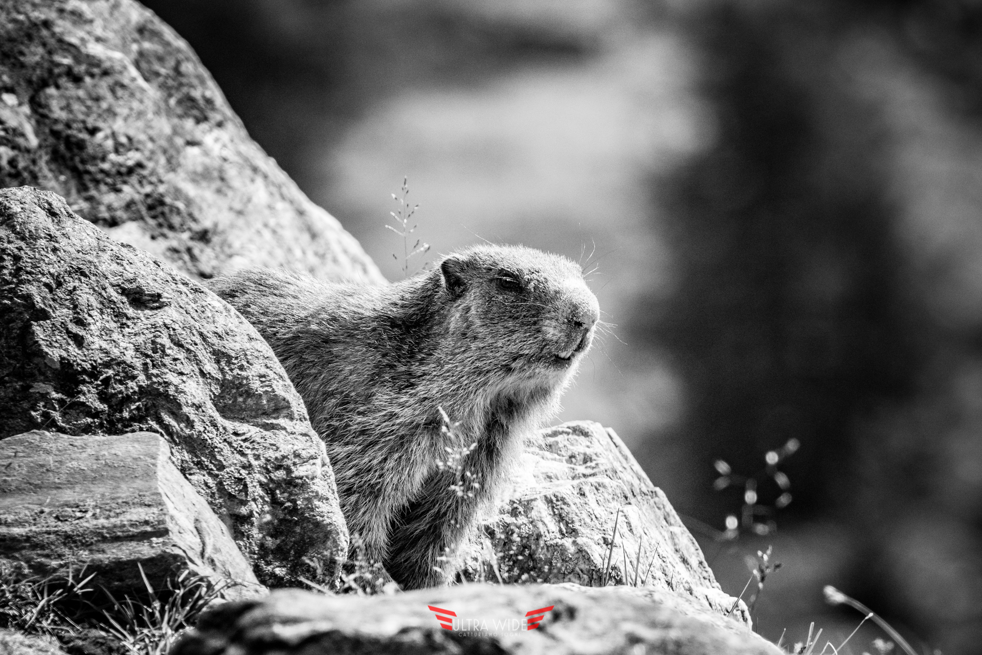 S. Caterina in Valfurva, Italia, 2017