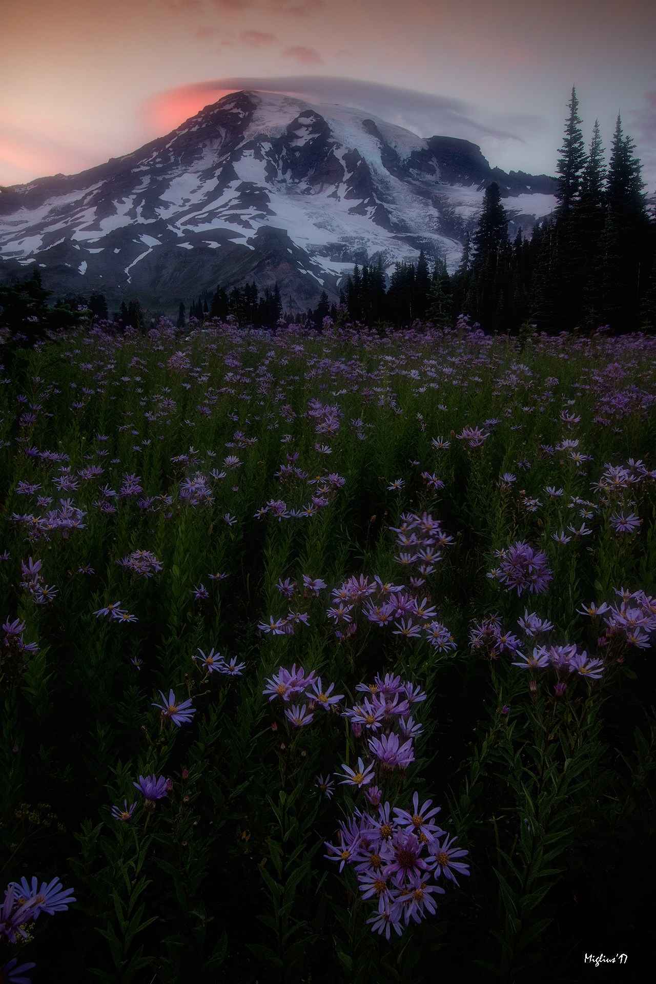 Mount Rainier