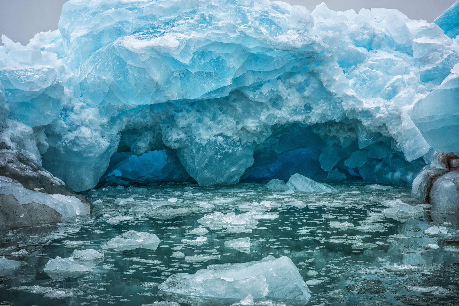 Blue Eyes - Svalbard Islands