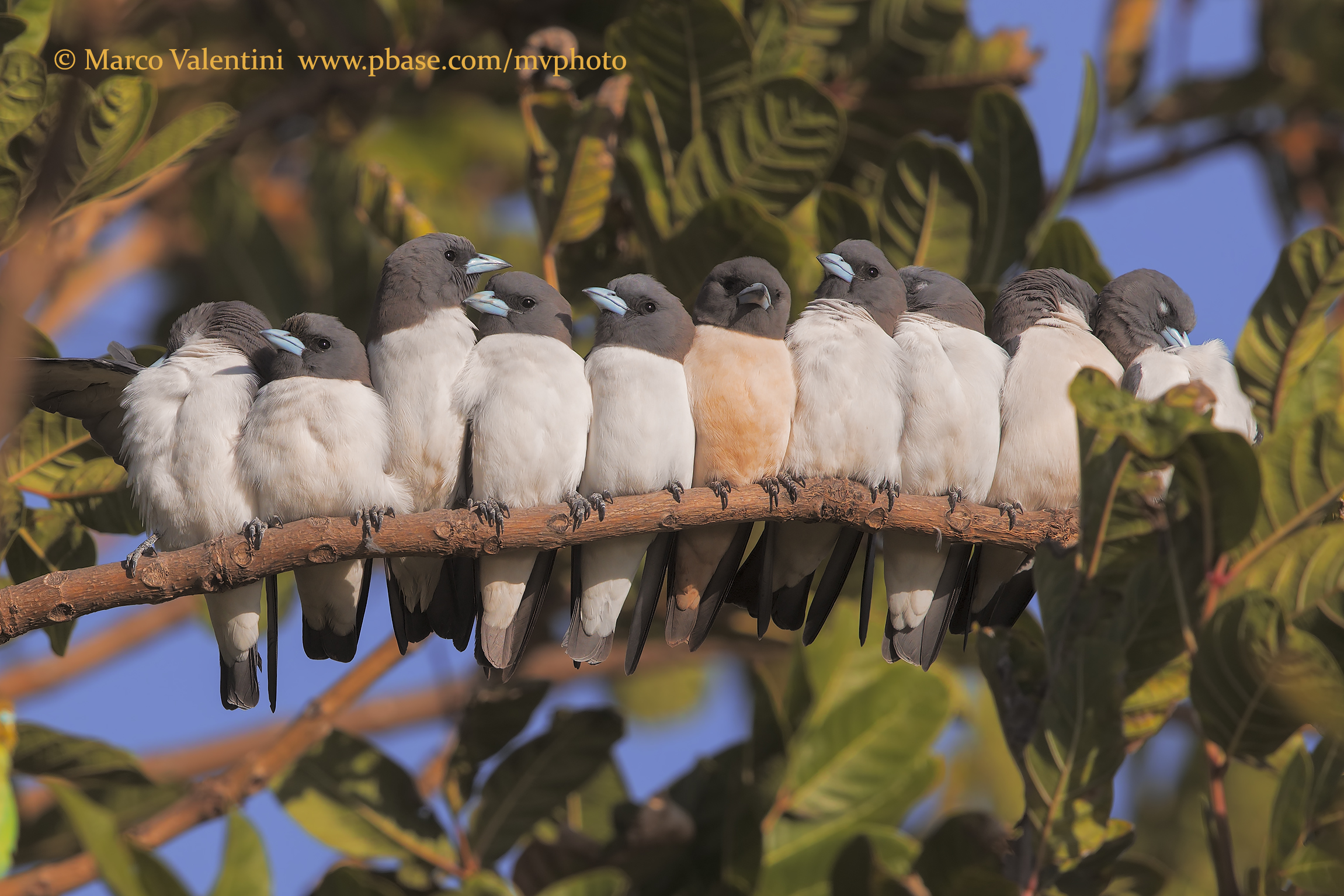 The more the better ... The more we are the better it is!