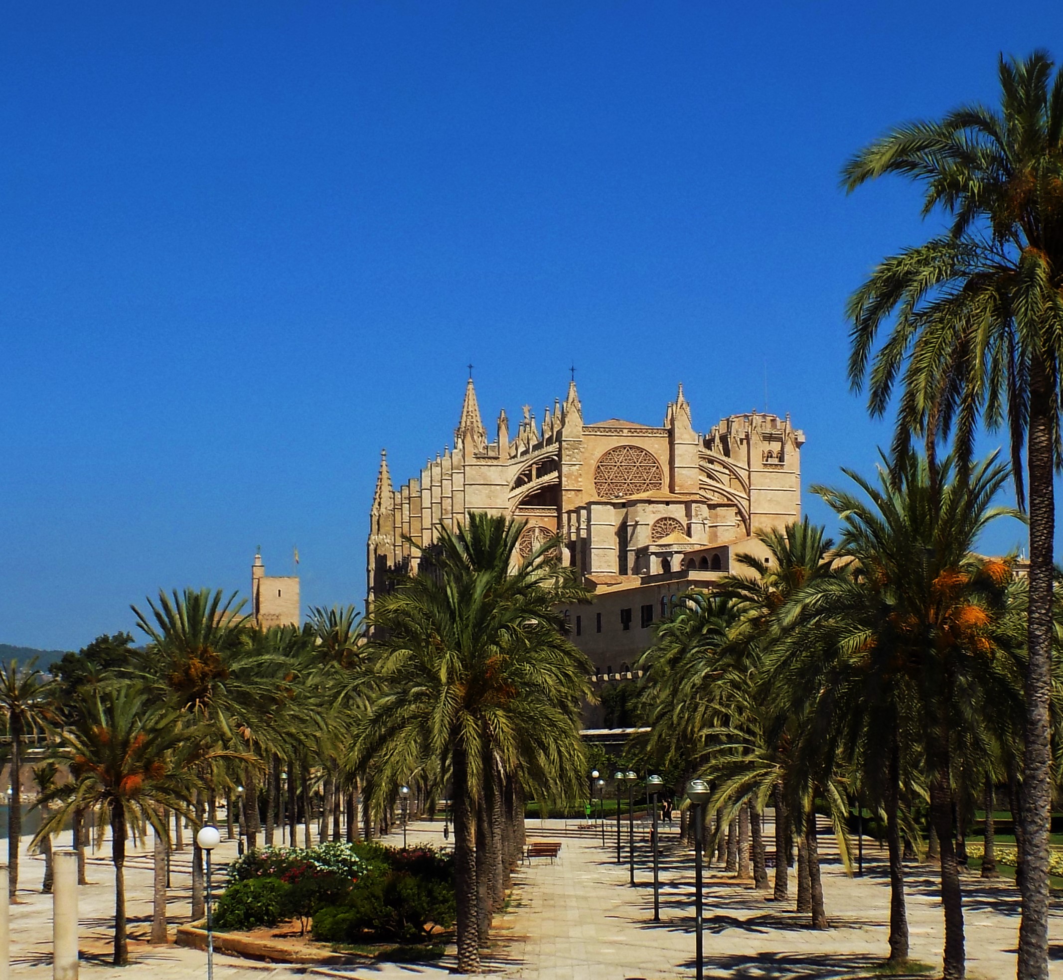 La Seu de Mallorca