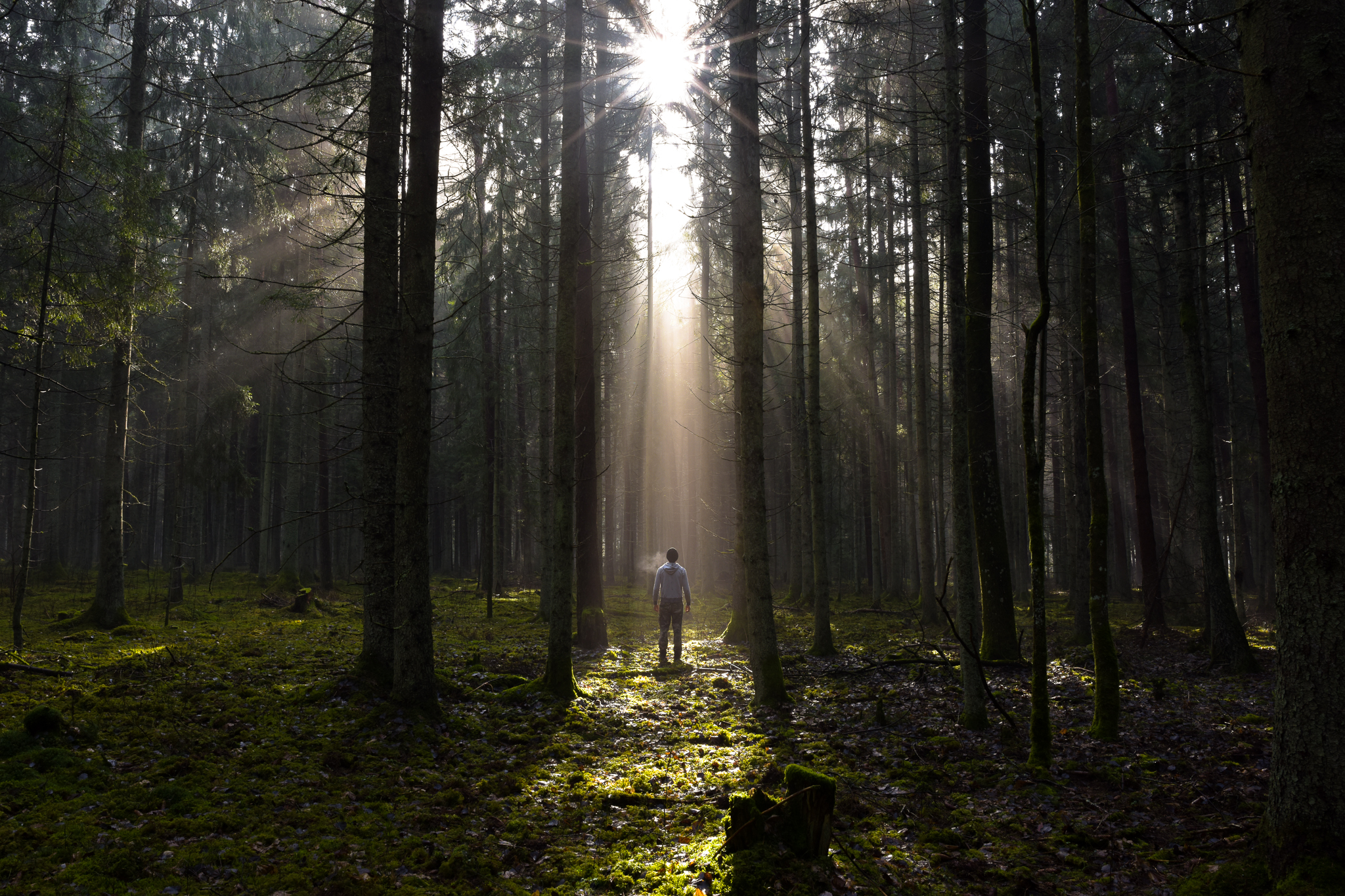 It's good to be at home