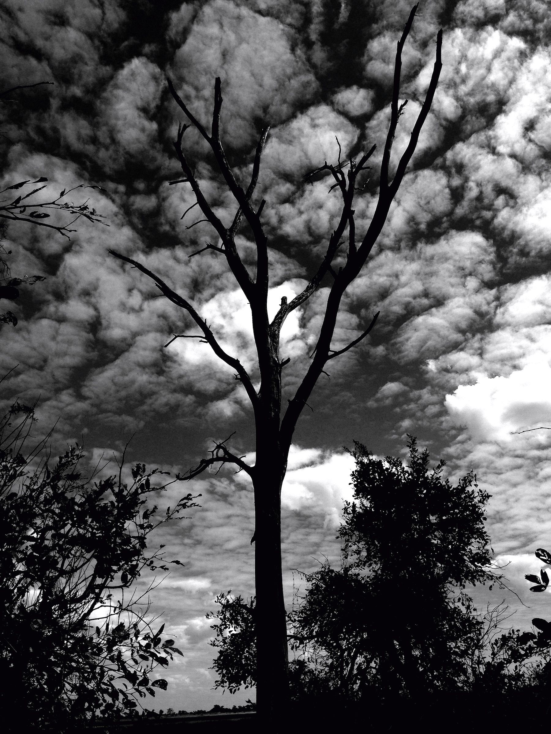 The clouds, my hair ..