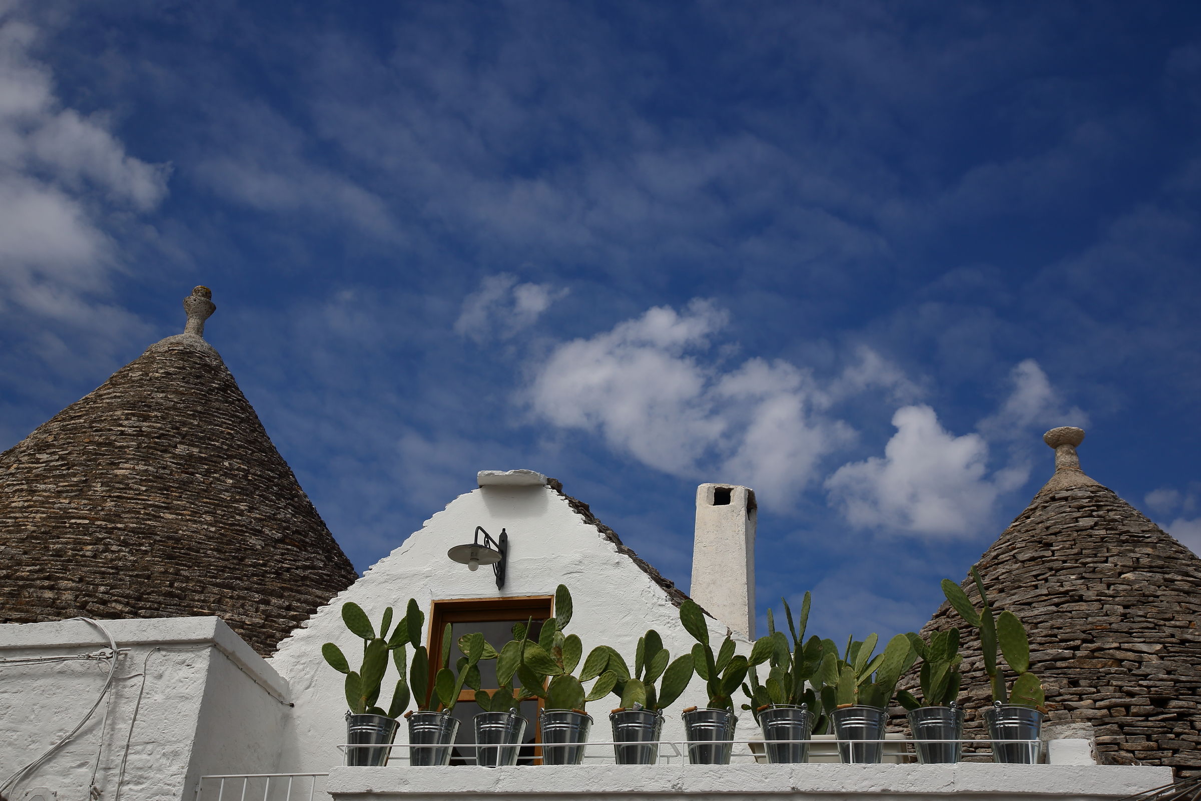 Trulli and figs of india
