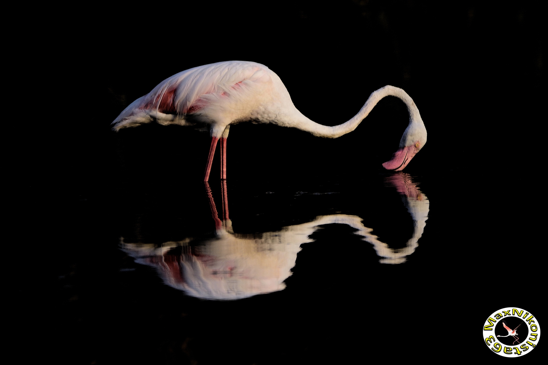 Mirror in the darkness