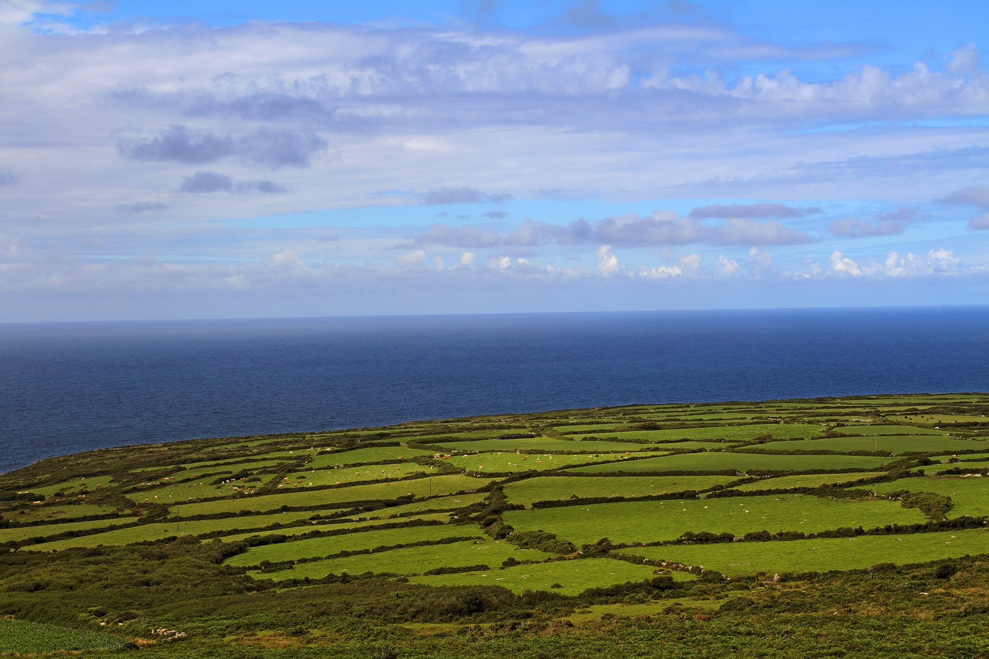 La brughiera Cornica