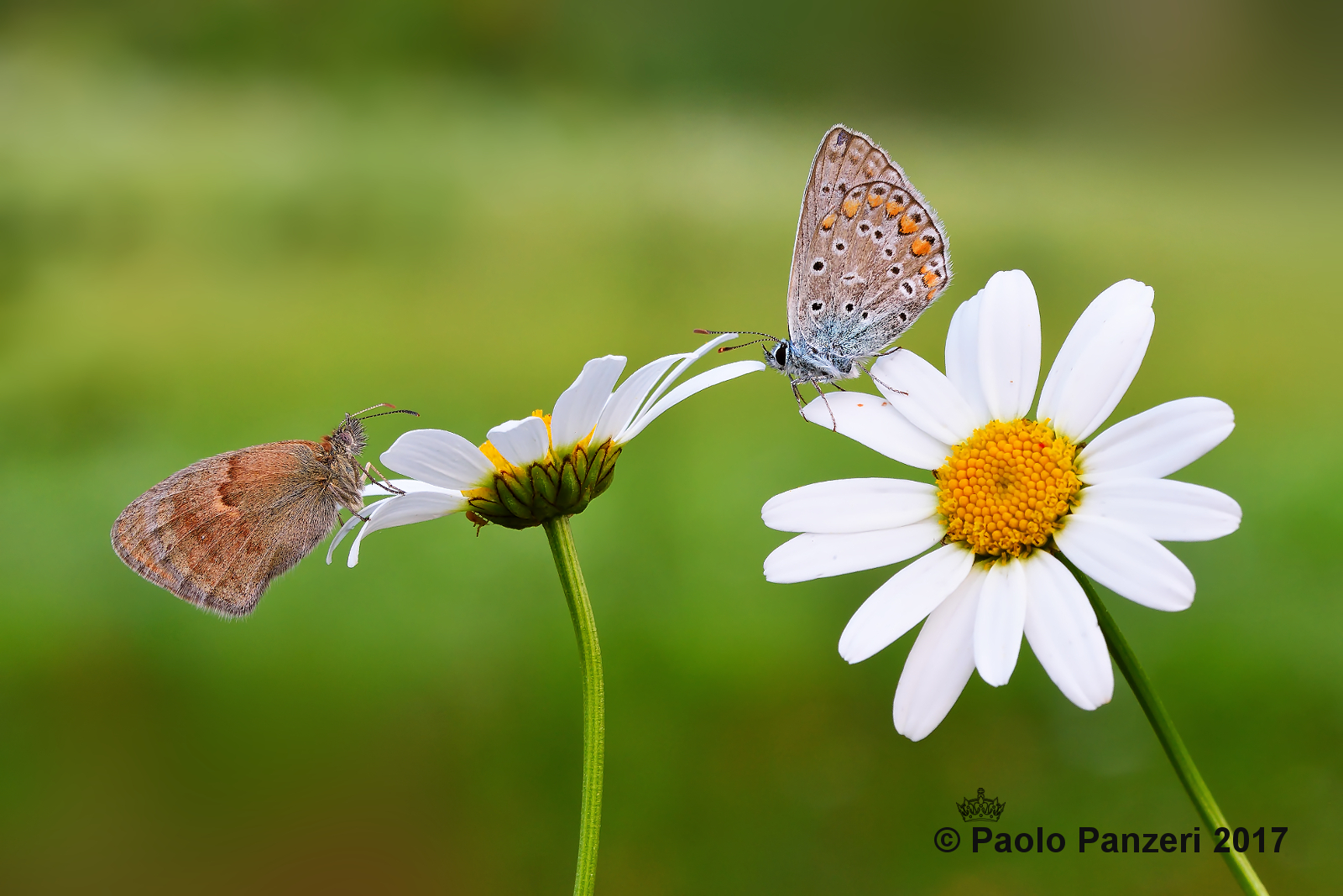 Waiting for the good weather