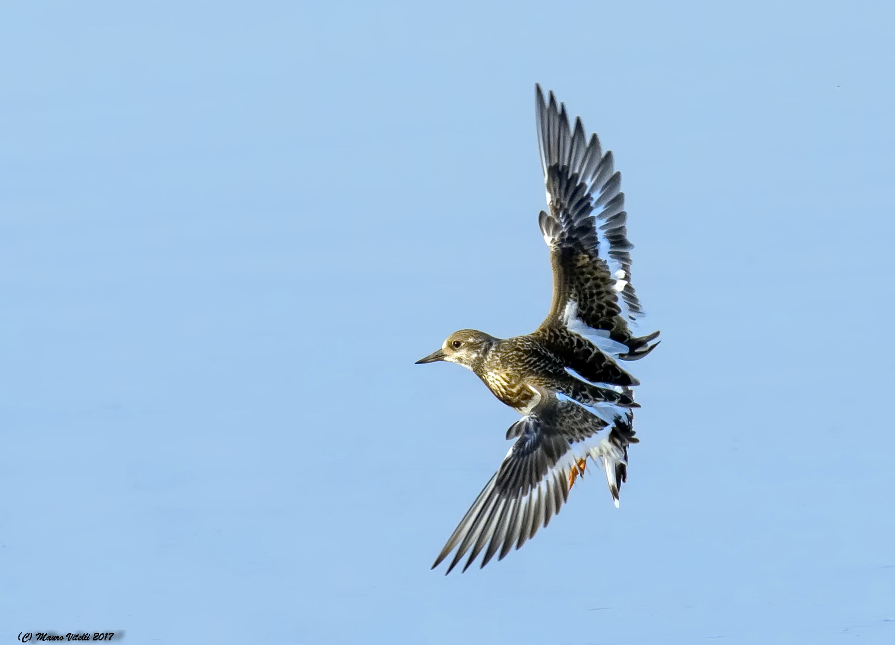 Voltapietre in arrivo