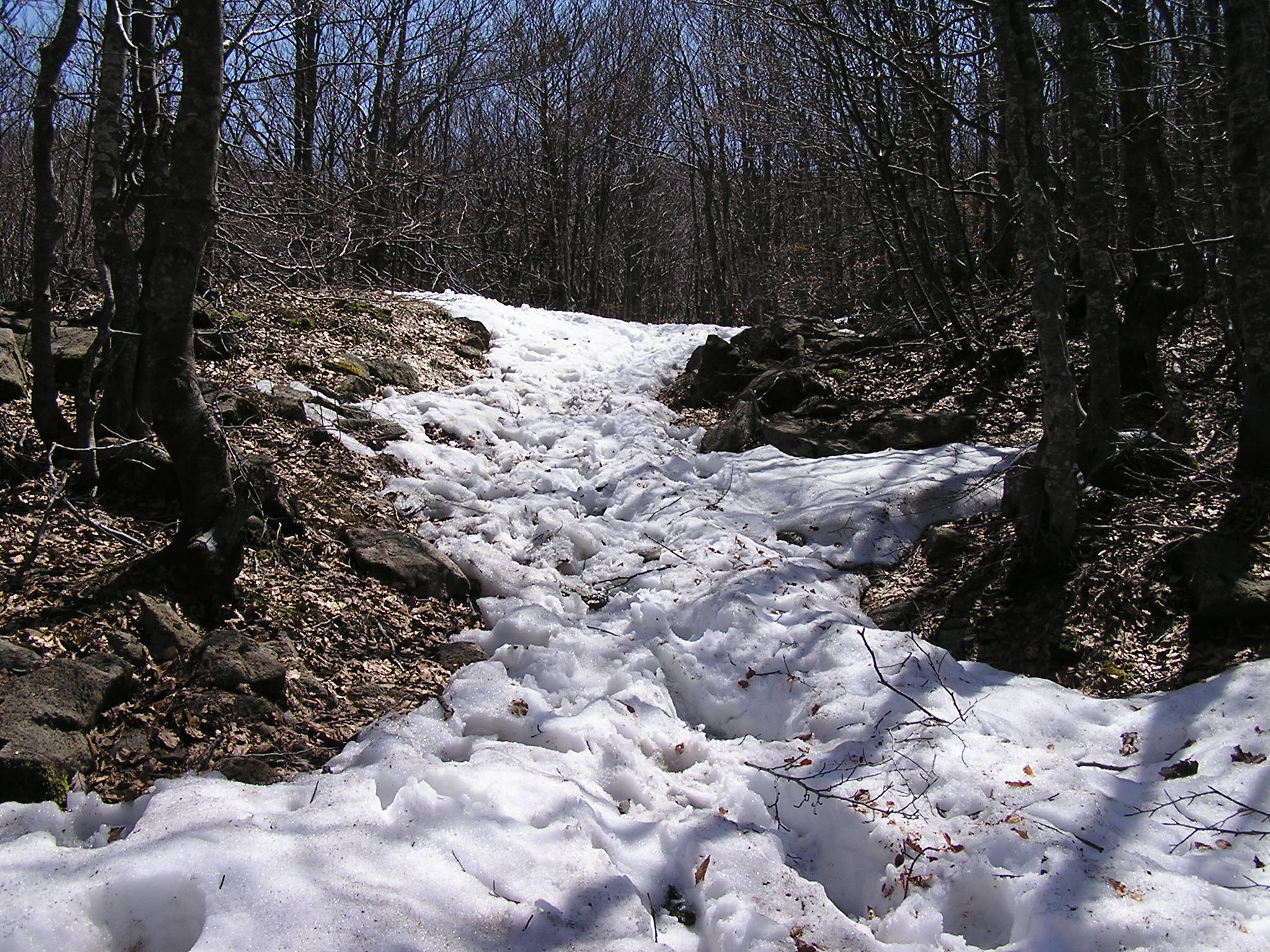 Ultima neve di primavera