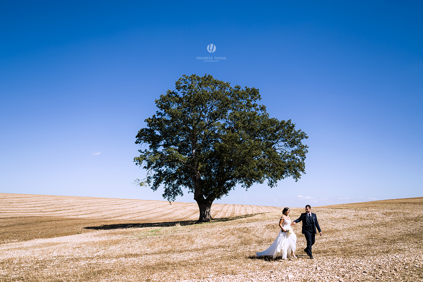 Love is in the freedom to be two roots ...