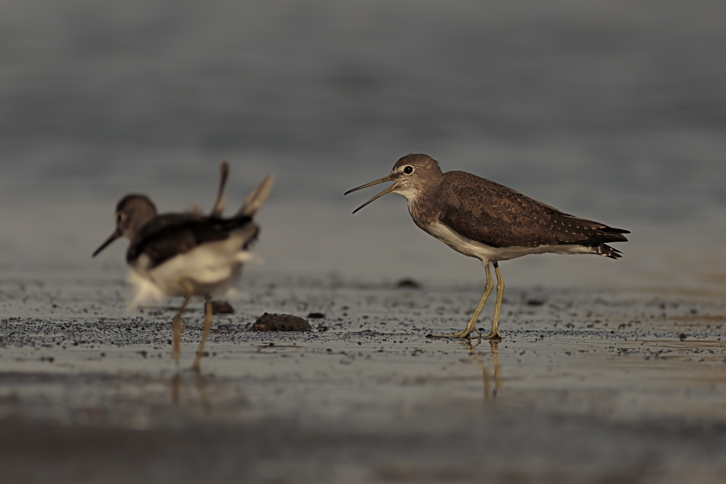 Outside the screen the model today is me.