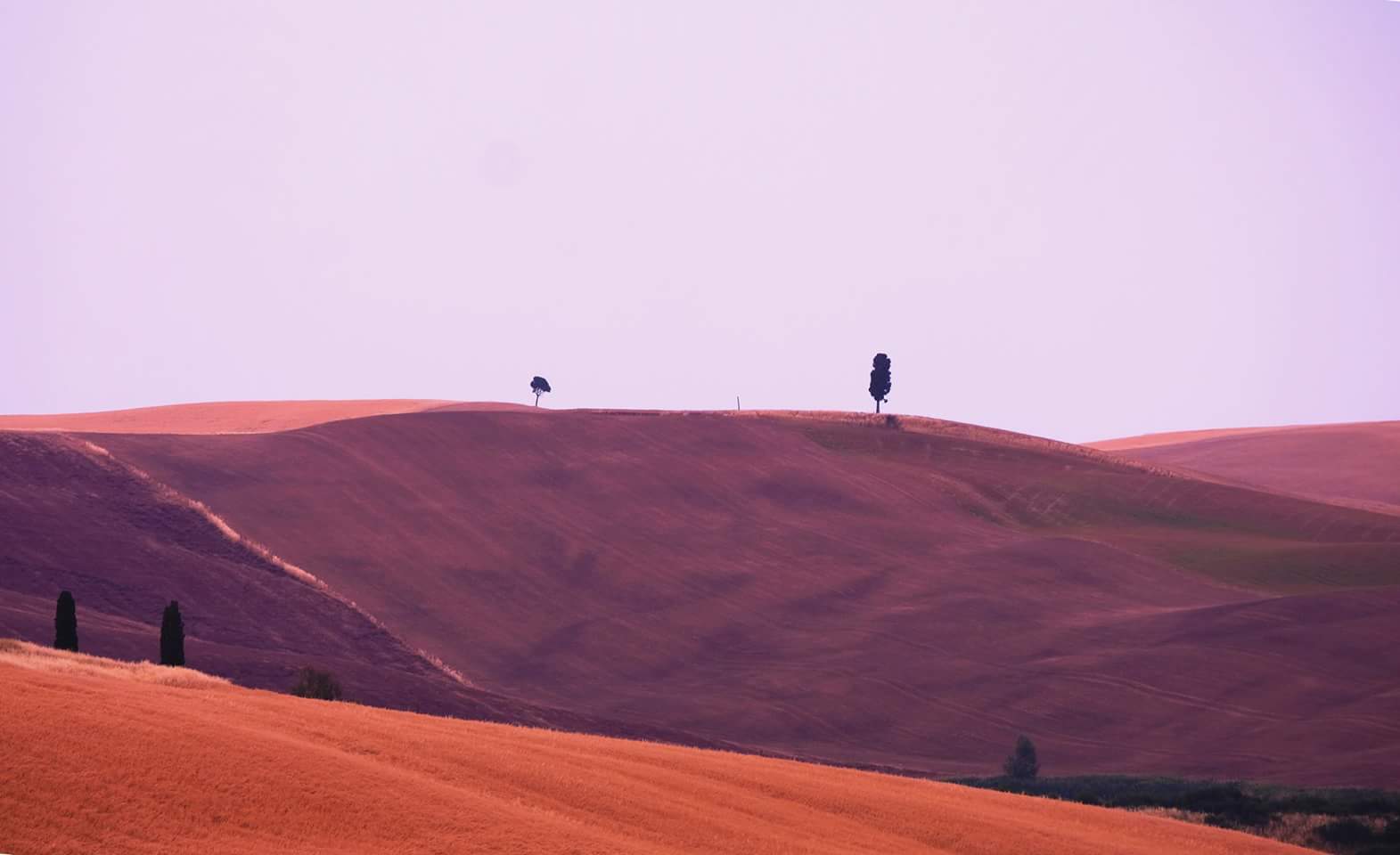 Panoramic Point - Lauretana Street - Siena