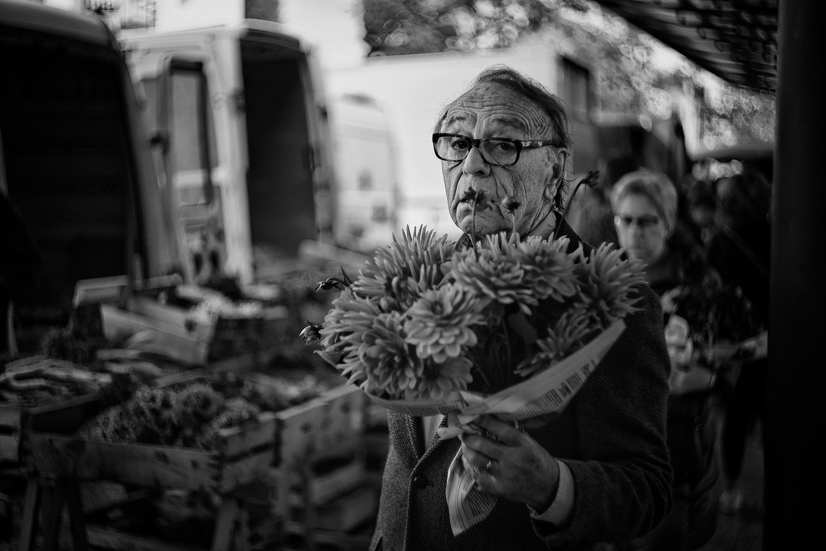 Le Monsieur aux Dahlias