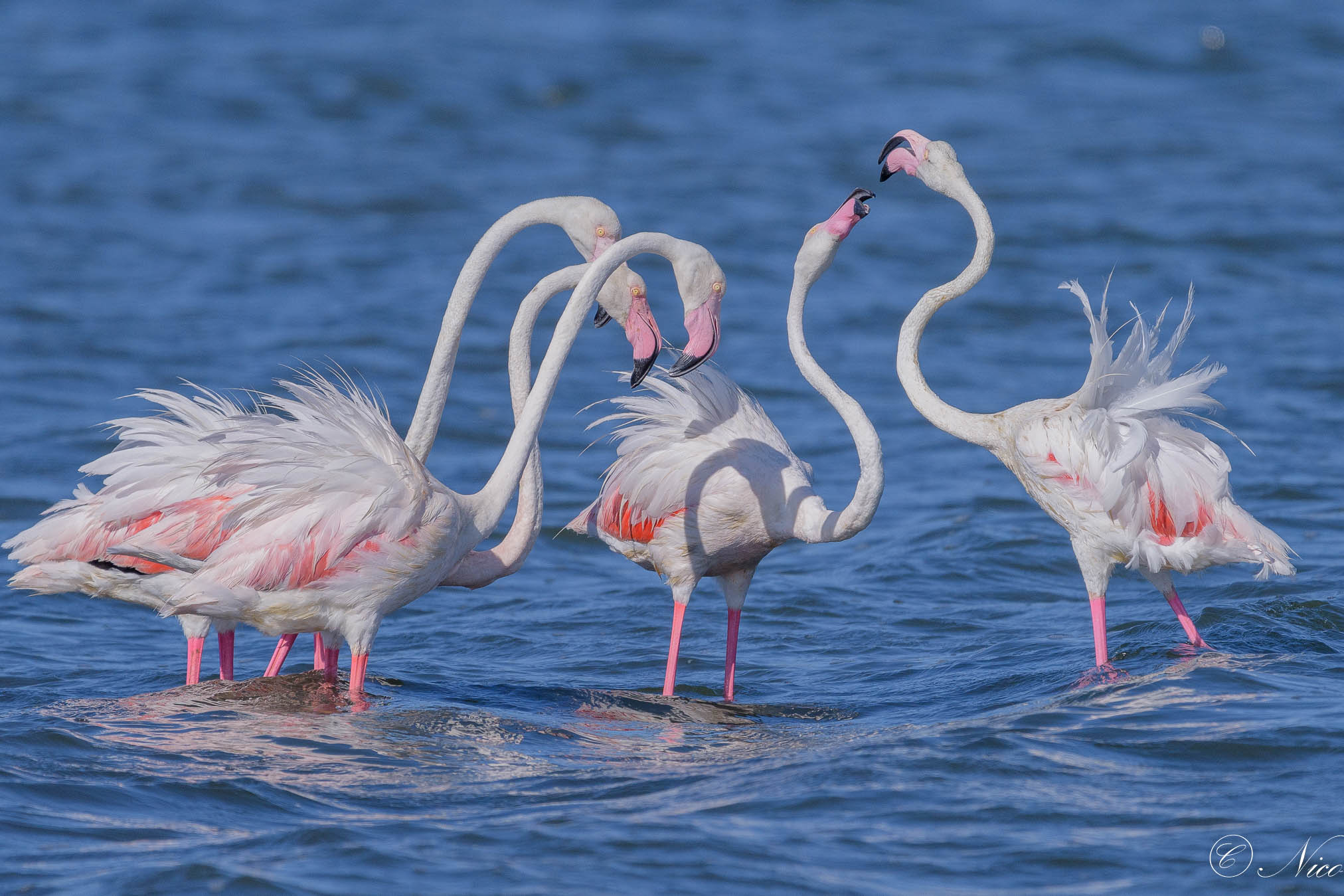 Apriamo il dibattito
