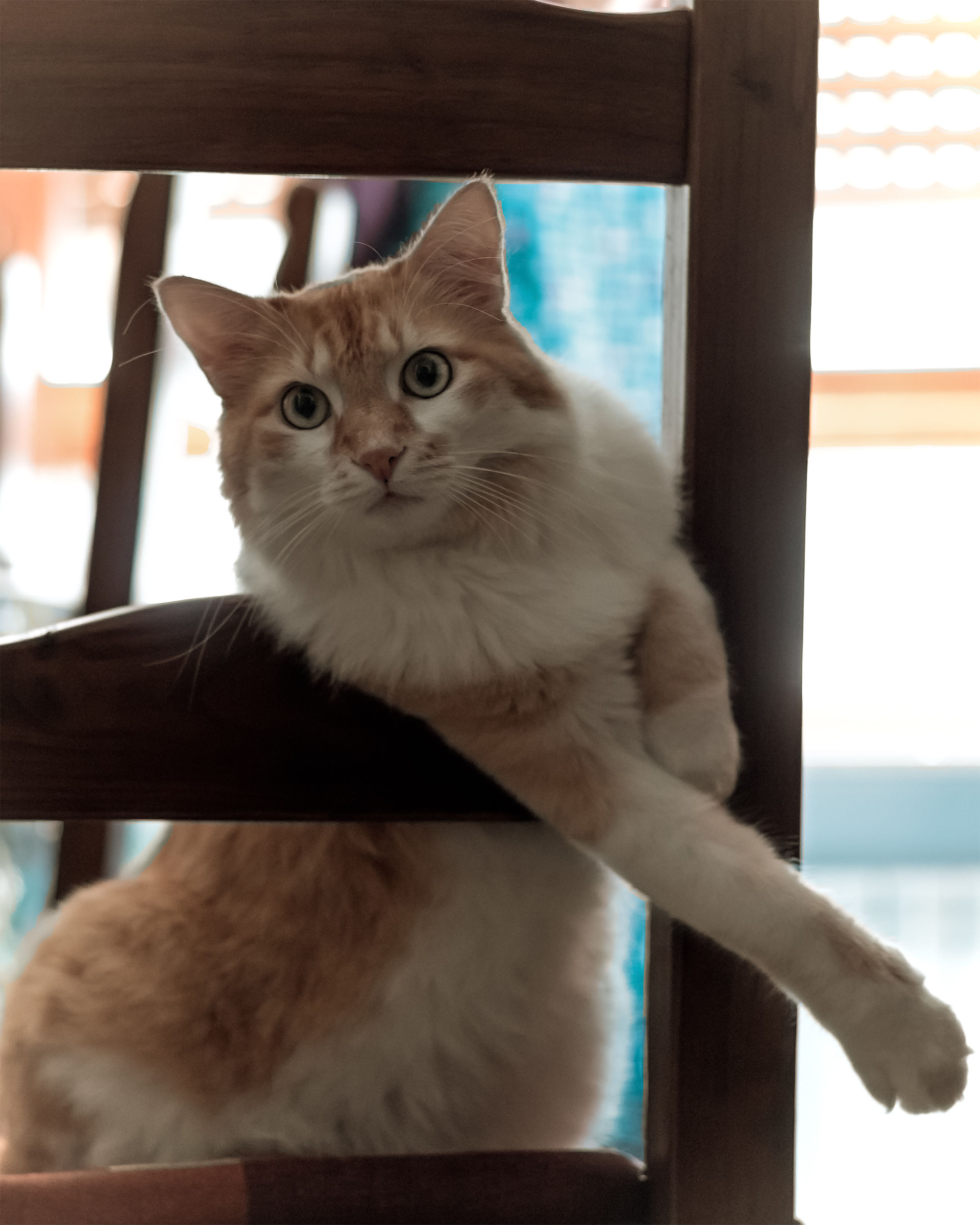 Benvenuti nella mia cucina!