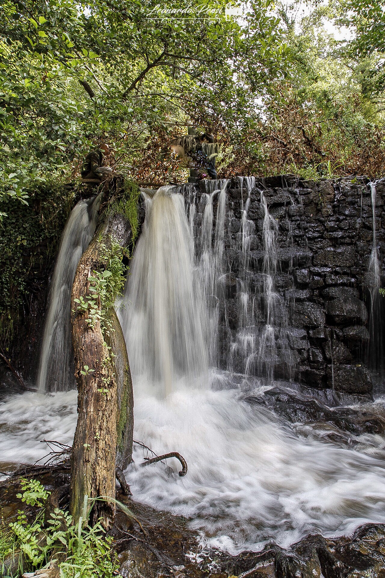 Cascade of the ditch, Catenaccio, Roccarespampani.
