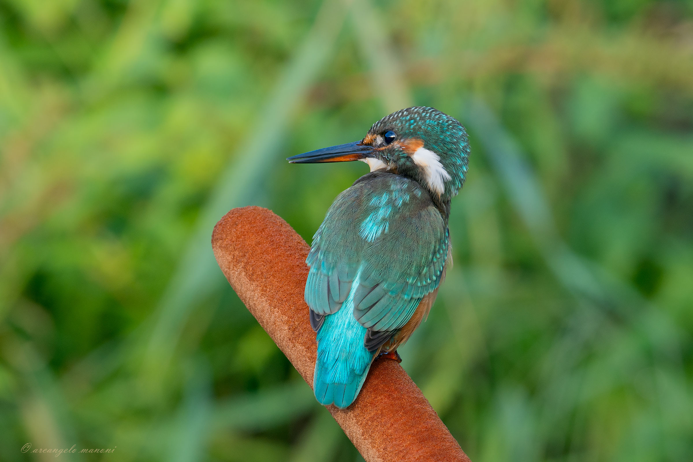 An "improper" cutlery