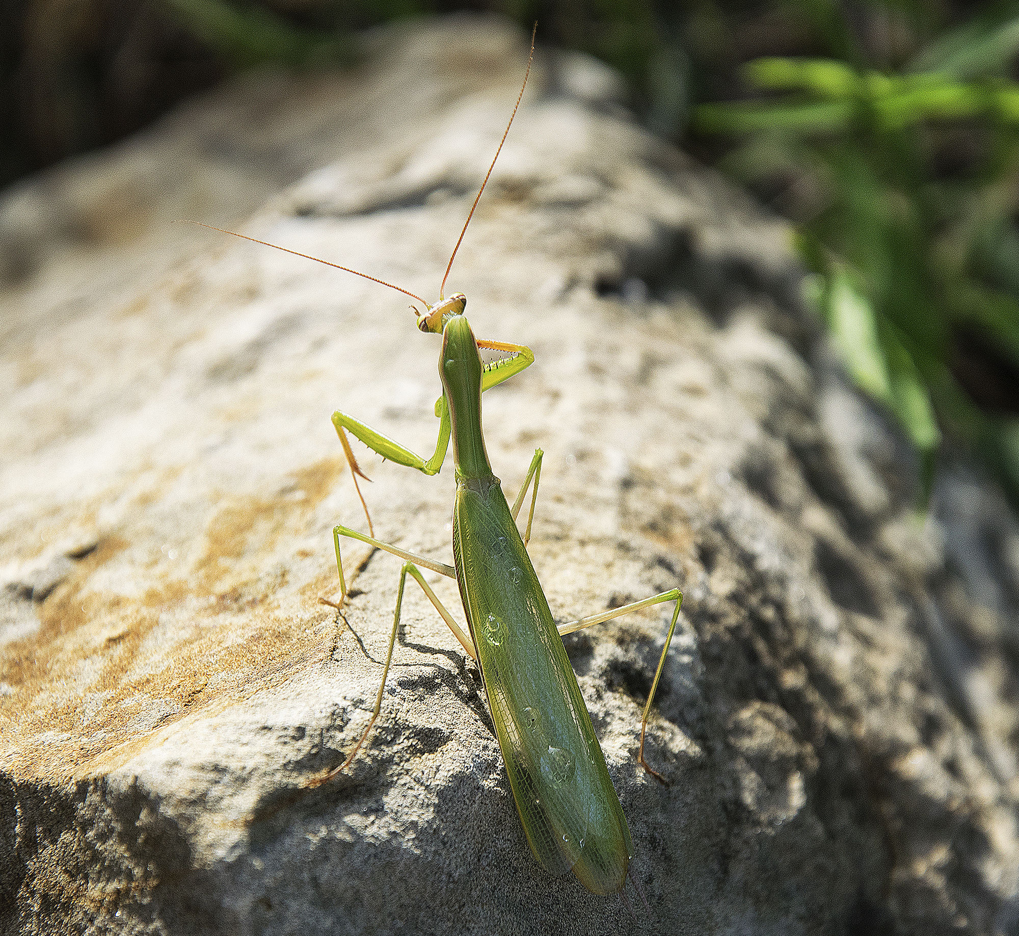 si giri signorina...