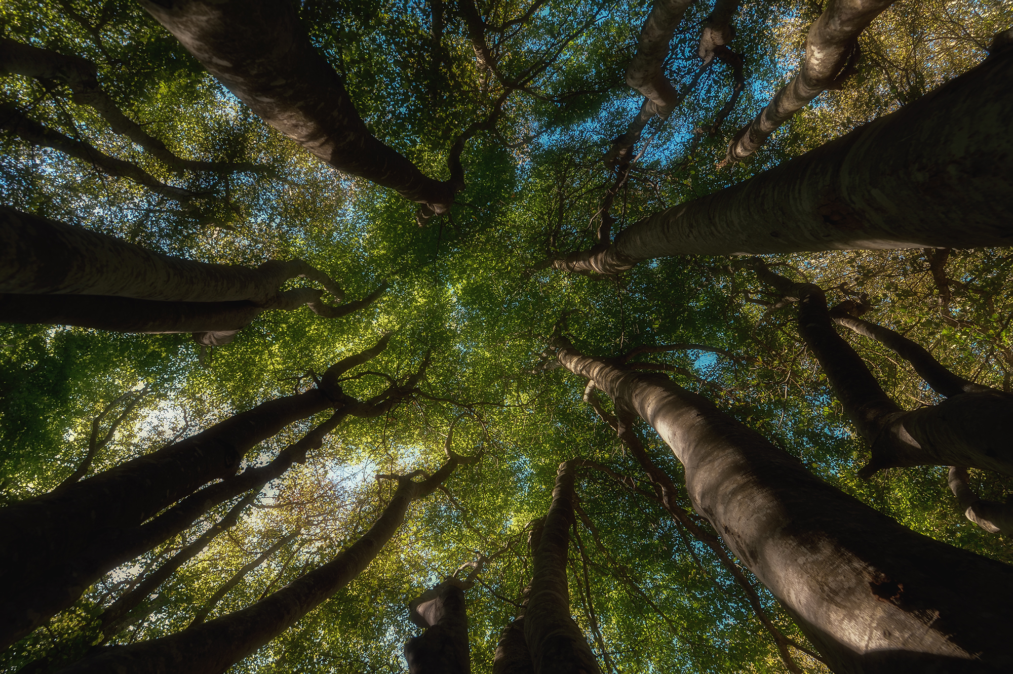 With the nose up to 2