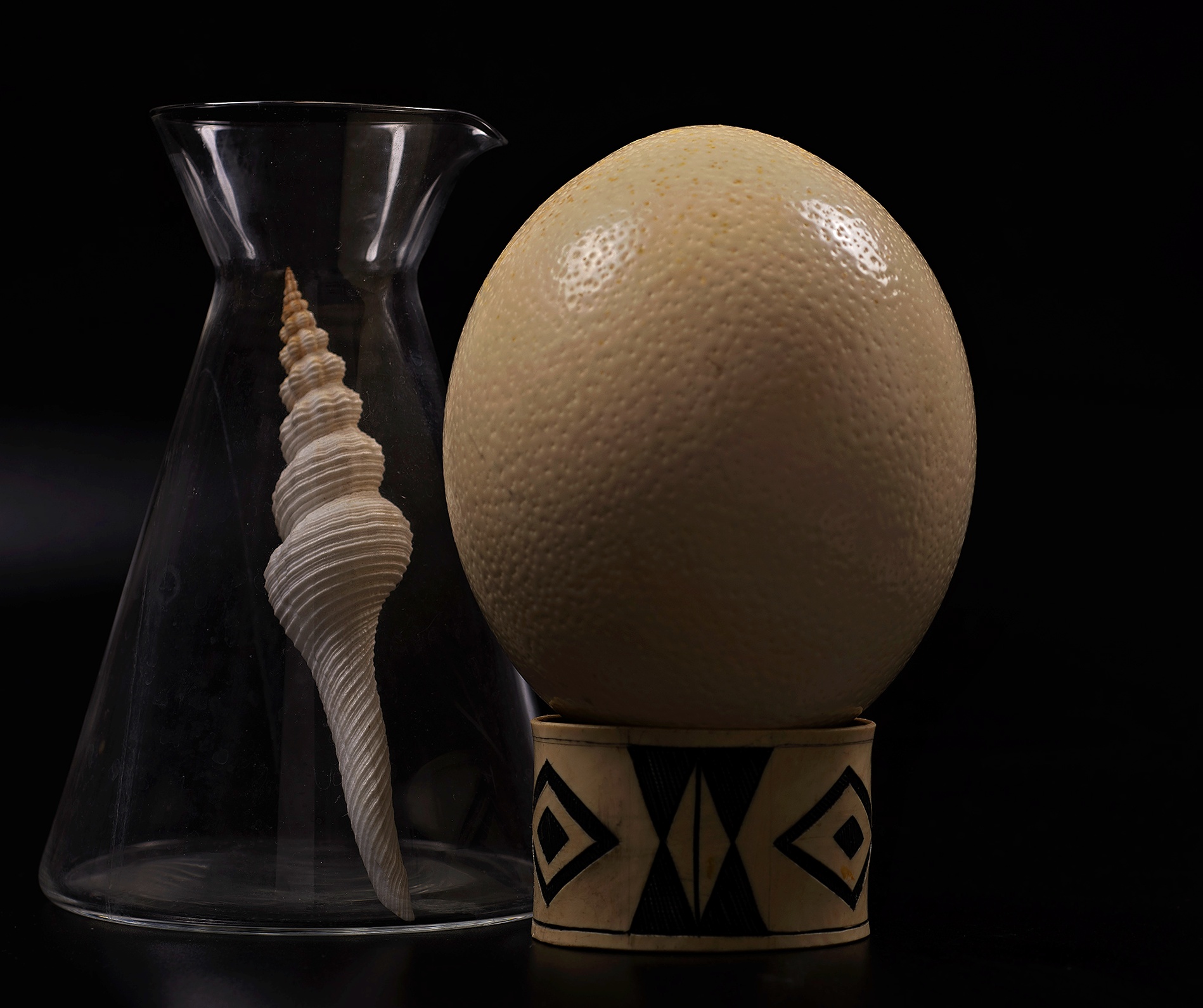 The egg and the shell