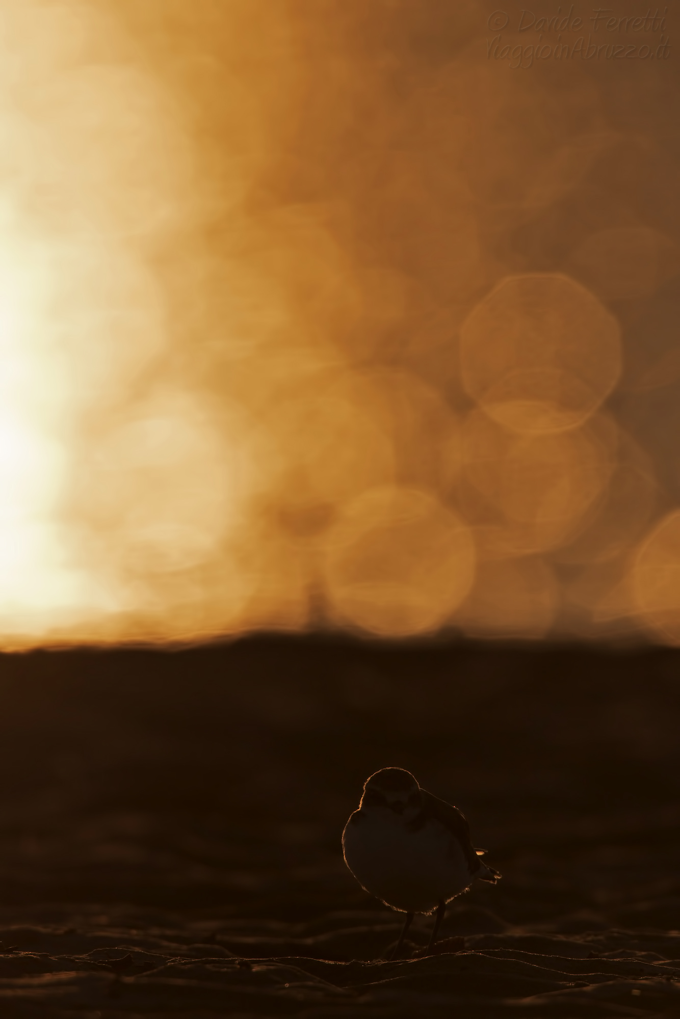 The little brother and the bubbles of light