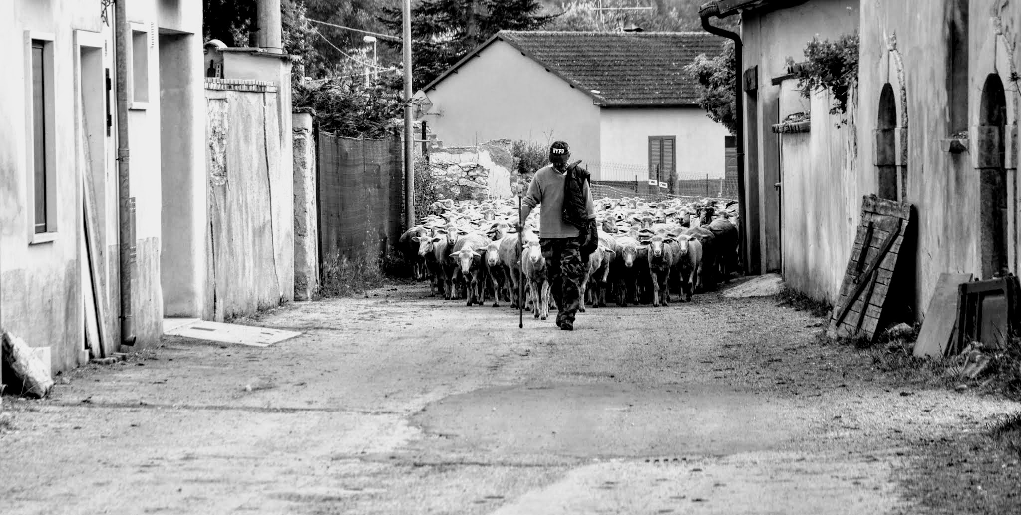 The Aquila is reborn ...