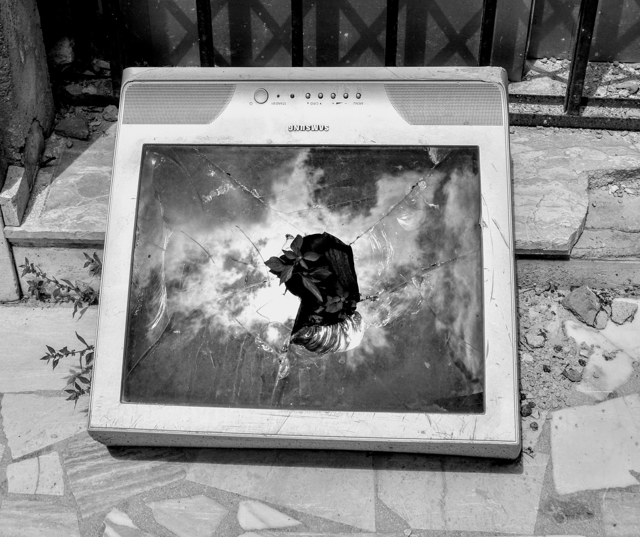 The Aquila is reborn ...