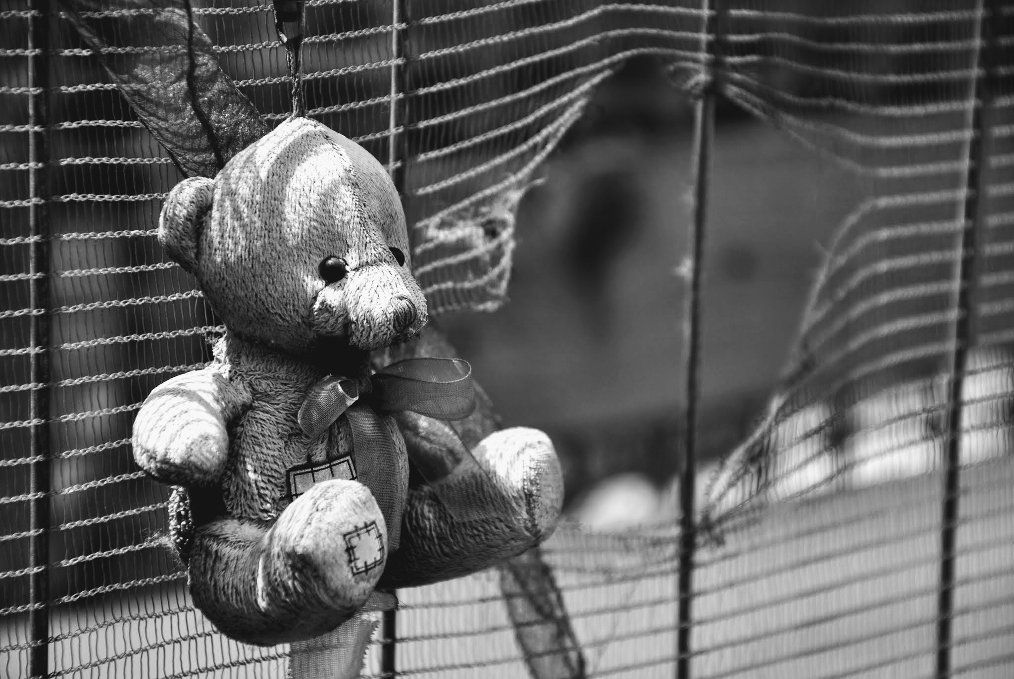 The Aquila is reborn ...