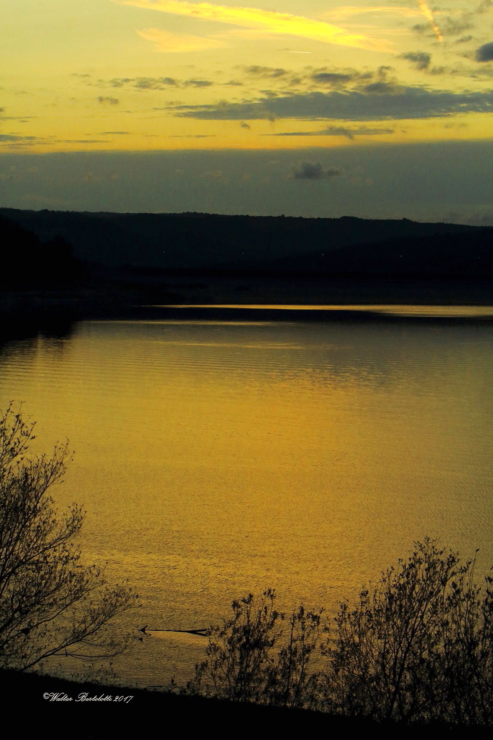 the lake _ corbara