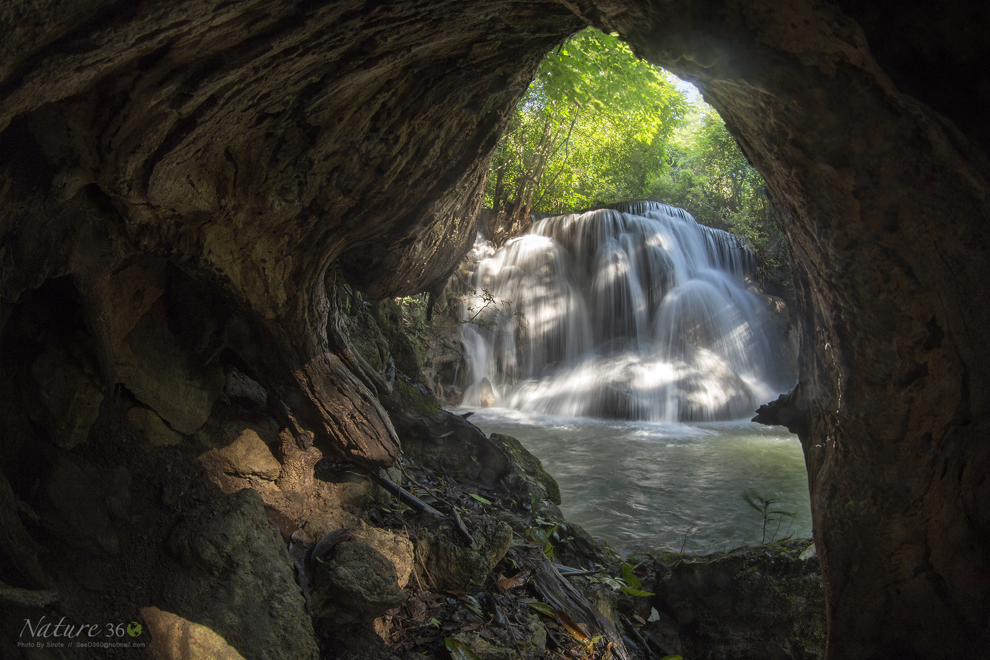 Look from the hollow