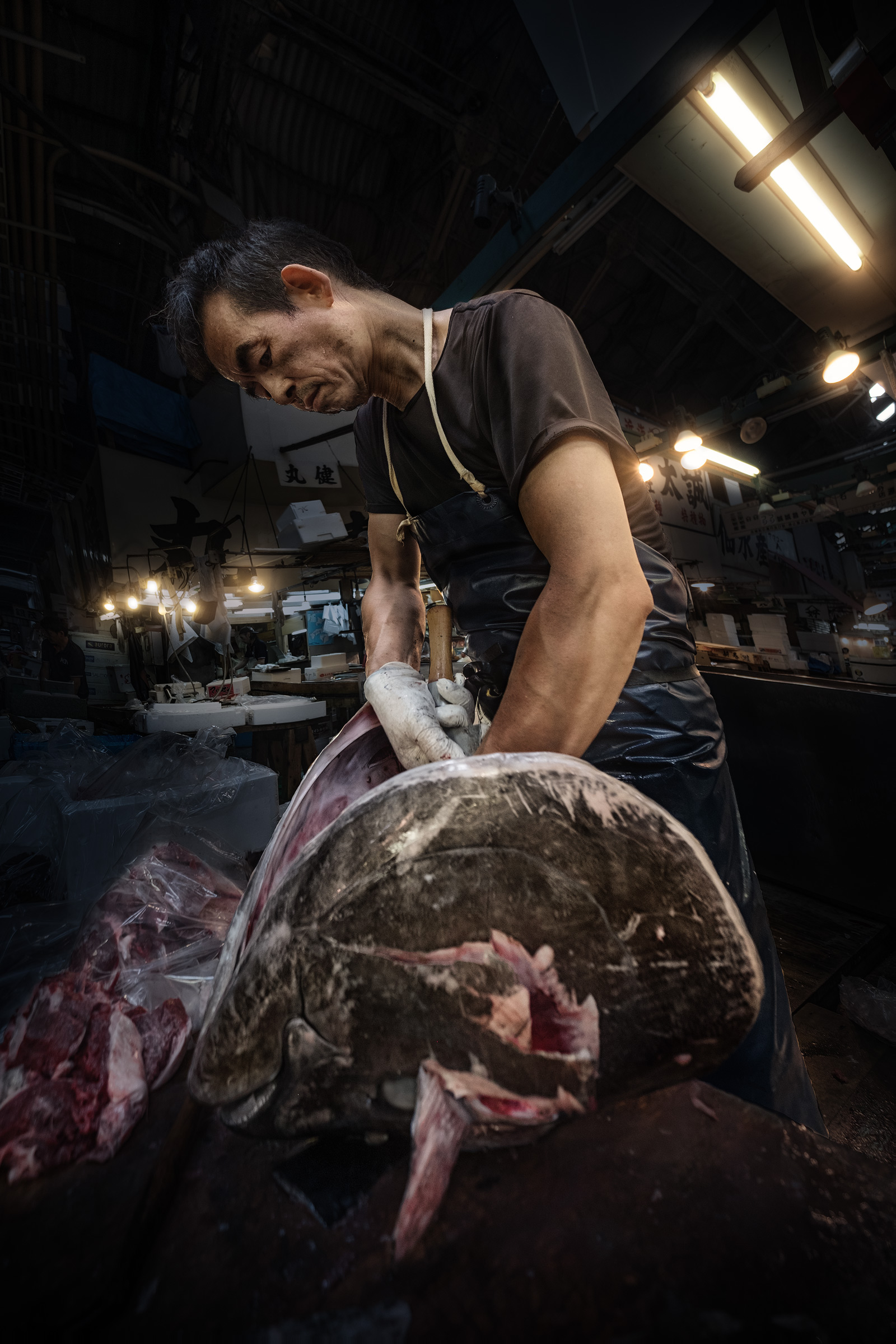 Tokyo Fish Market