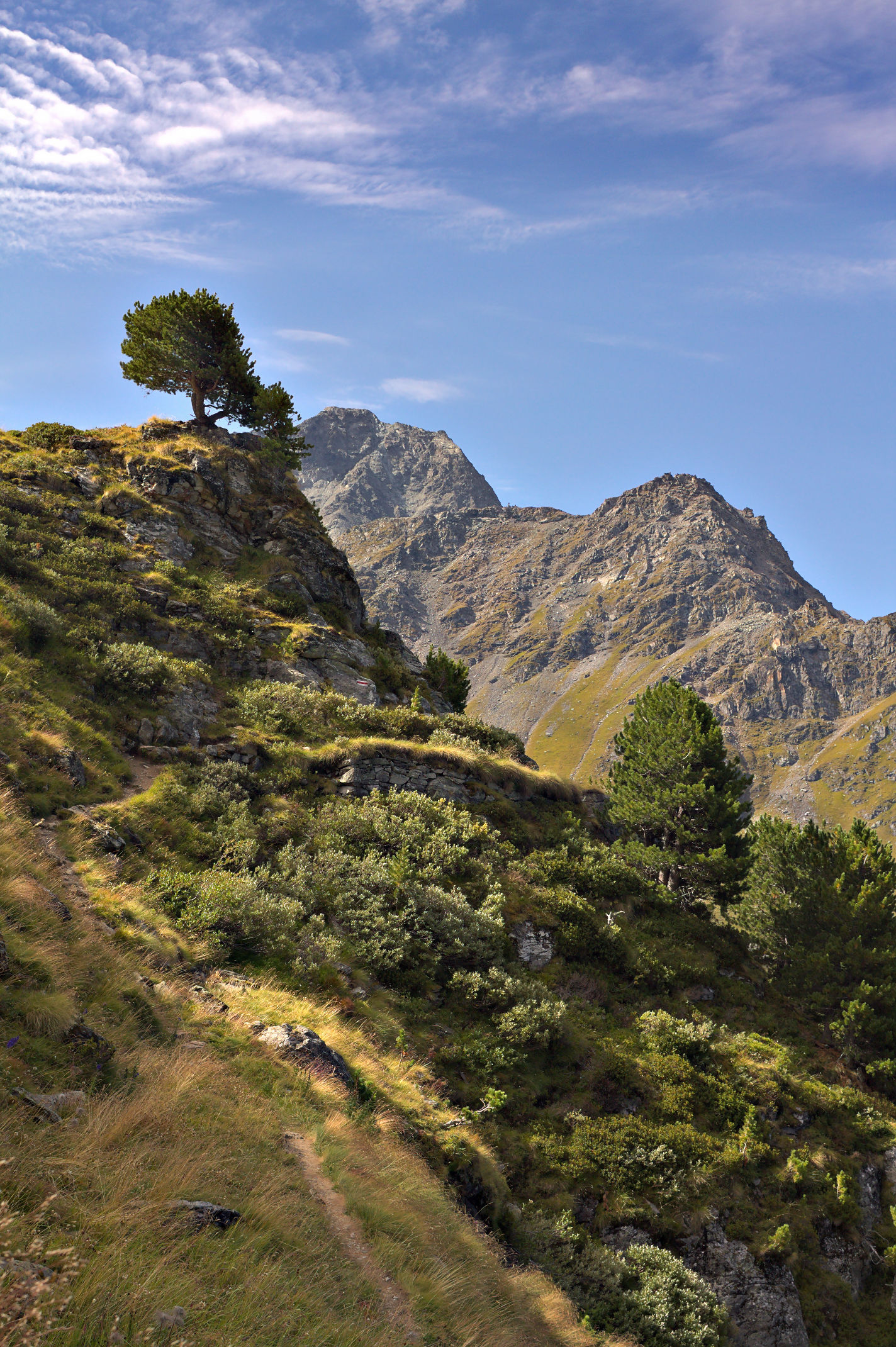 Haute Nendaz - Bisse de Chervé