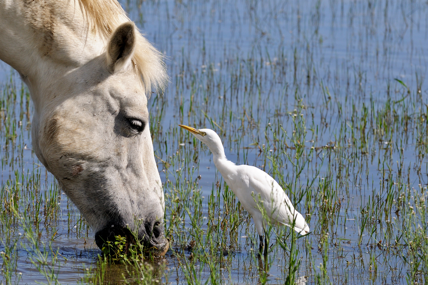 E smettila di mangiare quando ti parlo!!!