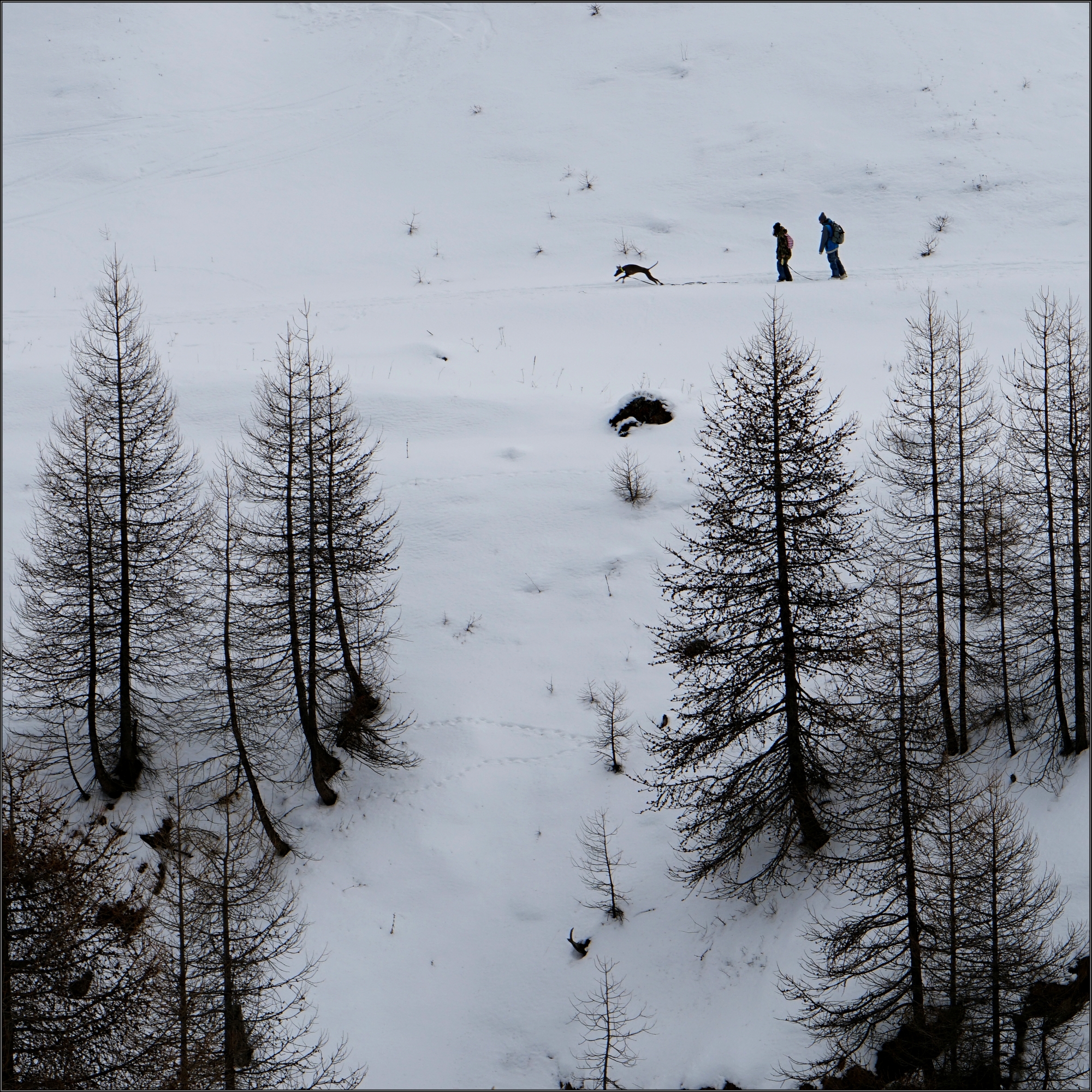 Col de Larche - France