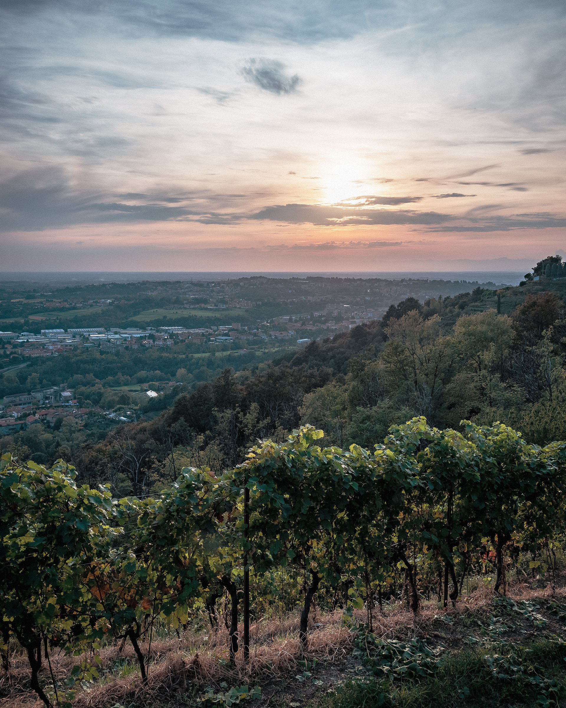 Autumn Equinox on Montevecchia vineyards